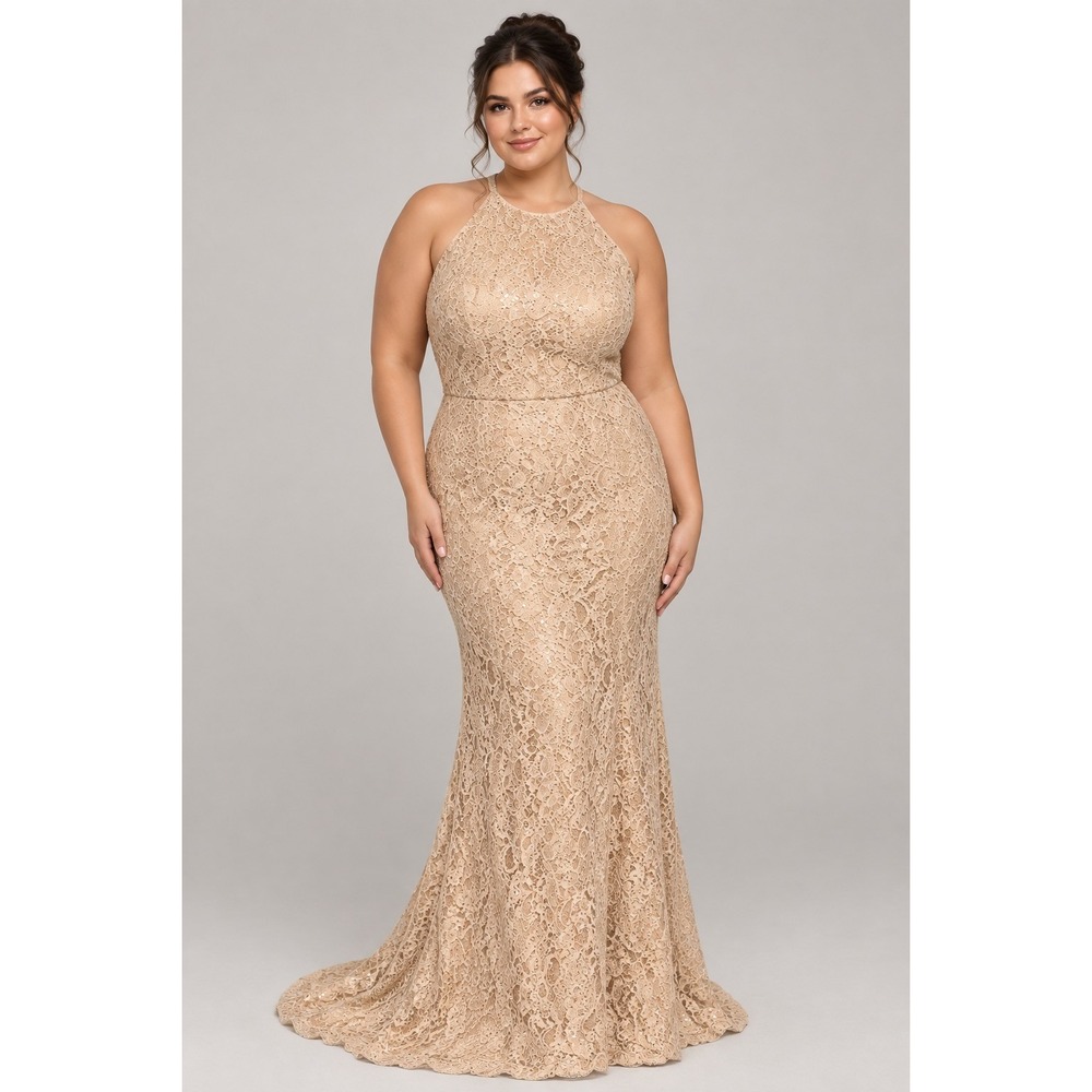 Anny Lee Beige Lace Gown Dress Sequins Formal Plus 3XL mother of bride groom